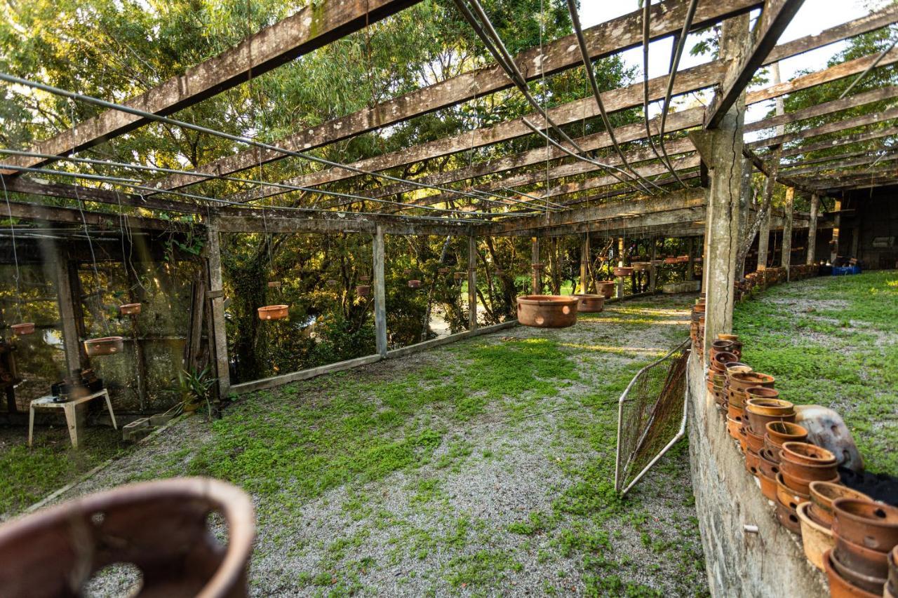 Pousada Cabanas Da Praia Mole & Hotel Praia Mole Florianópolis Dış mekan fotoğraf